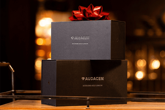 Best Gift Ideas for Home Decor Enthusiasts – 2025 Edition - Audacem